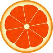 grapefruit for the dukan diet